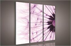 Consalnet Pitypang, 3 darabos vászonkép, 90x80 cm méretben (C5-980S6)