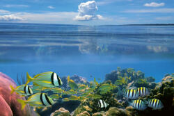 Dimex Vlies Fotótapéta - Surface and underwater view - 375x250 cm (MS-5-0502)