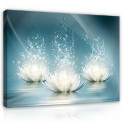 Consalnet Vászonkép, Tavirózsa, 100x75 cm méretben (C5-10224O1)