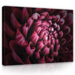 Consalnet Vászonkép, Virág közelről, 100x75 cm méretben (C5-12710O1)