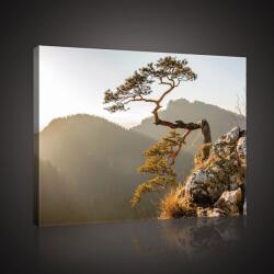 Consalnet Fa a hegyekben, vászonkép, 60x40 cm méretben (C5-10511O4)