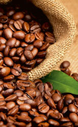 Dimex COFFEE BEANS fotótapéta, poszter, vlies alapanyag, 150x250 cm (MS-2-0244)