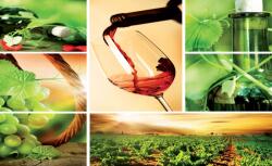 Consalnet Bor poszter, fotótapéta, Vlies (208 x 146 cm) (C1-104VEXL)