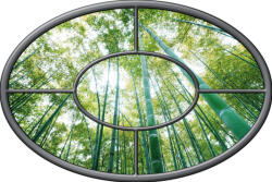 Consalnet Ovális vlies poszter, fotótapéta 923VEZ7 /312x208 cm/ (923-VEZ7)