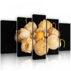 Consalnet Vászonkép 5 darabos, Szárított virággumó natúrba 100x60 cm méretben (C5-11780S17)
