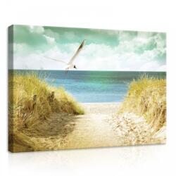 Consalnet Homokos tengerpart, vászonkép, 70x50 cm méretben (C5-11595O7)