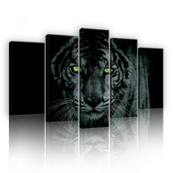 Consalnet Vászonkép 5 darabos, Tigris 100x60 cm méretben (C5-130BS17)
