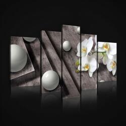 Consalnet Vászonkép, 5 darabos, Orchidea gömbökkel 170x100 cm méretben (C5-2407S4A)