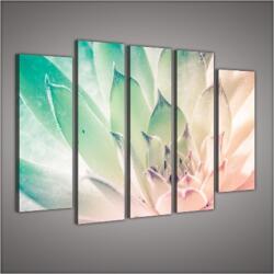 Consalnet Vászonkép, 5 darabos Kőrózsa 150x100 cm méretben (C5-2135S12)