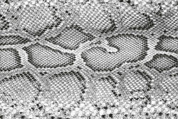 Dimex Vlies Fotótapéta - overlay texture of crocodile - 375x250 cm (MS-5-2585)