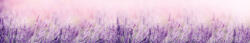 Dimex LAVENDER öntapadós konyhai poszter, 350x60 cm (KI-350-124)