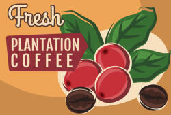 Dimex Vlies Fotótapéta - Coffee Plantation Sign - 375x250 cm (MS-5-2089)