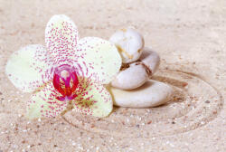 Dimex RELAXATION SAND fotótapéta, poszter, vlies alapanyag, 375x250 cm (MS-5-0119)