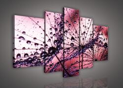 Consalnet Vászonkép, 5 darabos, Pitypang 170x100 cm méretben (C5-425S4A)