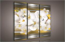 Consalnet Orchidea absztrakt, 3 darabos vászonkép, 90x80 cm méretben (C5-901S6)