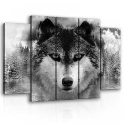 Consalnet Vászonkép, 5 darabos Farkas 150x100 cm méretben (C5-10147S12)