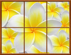 Consalnet Kazettás vlies poszter, fotótapéta 939VECXXXL /400 x 312 cm/ (C1-939VECXXXL)