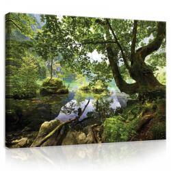 Consalnet Vászonkép, Erdei patak, 120x80 cm méretben (C5-10222O20)