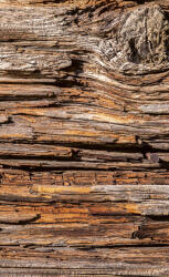 Dimex TREE BARK fotótapéta, poszter, vlies alapanyag, 150x250 cm (MS-2-0159)