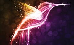 Consalnet Kolibri poszter, fotótapéta, Vlies (104 x 70, 5 cm) (C1-767VEM)