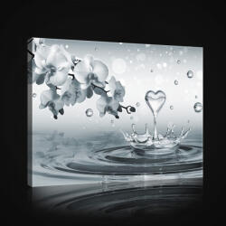 Consalnet Vászonkép, Orchidea a víz felett, 100x75 cm méretben (C5-20022O1)