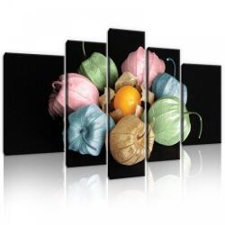 Consalnet Vászonkép, 5 darabos, Lampionvirág színesben 170x100 cm méretben (C5-11781S4A)