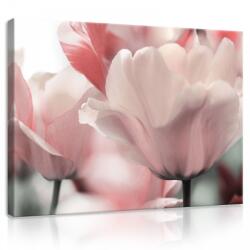 Consalnet Vászonkép, Rózsaszín tulipánok 80x60 cm méretben (C5-11911O6)