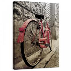 Consalnet bicikli, vászonkép, 50x70 cm méretben (C5-11964O7)