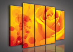 Consalnet Vászonkép, 5 darabos Sárga rózsa 150x100 cm méretben (C5-217S12)