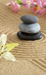 Dimex ZEN GARDEN fotótapéta, poszter, vlies alapanyag, 150x250 cm (MS-2-0117)