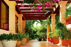 Dimex TERRACE fotótapéta, poszter, vlies alapanyag, 375x250 cm (MS-5-0045)