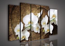 Consalnet Vászonkép, 5 darabos Orchideák 150x100 cm méretben (C5-417S12)