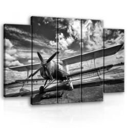 Consalnet Vászonkép, 5 darabos Repülő 150x100 cm méretben (C5-11384S12)