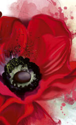 Dimex POPPY fotótapéta, poszter, vlies alapanyag, 150x250 cm (MS-2-0150)