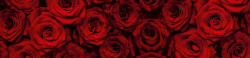 Dimex BEAUTIFUL RED ROSES öntapadós konyhai poszter, 260x60 cm (KI-260-132)