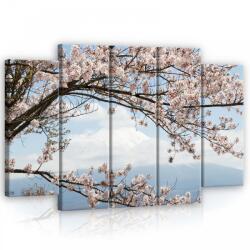 Consalnet Vászonkép, 5 darabos Virágzó fa 150x100 cm méretben (C5-11800S12)