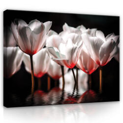 Consalnet Vászonkép, Tulipánok, 60x40 cm méretben (C5-974O4)