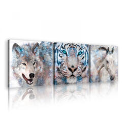 Consalnet Vászonkép 3 darabos, Állatok, 3 db 25x25 cm méret (C5-2724S13)