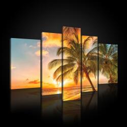 Consalnet Vászonkép, 5 darabos, Pálmafák a tengerparton 170x100 cm méretben (C5-20038S4A)