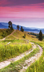 Dimex BLOOMING HILLS fotótapéta, poszter, vlies alapanyag, 150x250 cm (MS-2-0061)