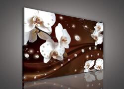 Consalnet Vászonkép, Orchidea barna háttéren, 100x75 cm méretben (C5-1647O1)