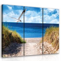 Consalnet Szárnyaló madár a tengerpart felett, 3 darabos vászonkép, 90x80 cm méretben (C5-21030S6)