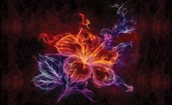 Consalnet Virág minta poszter, fotótapéta Vlies (254 x 184 cm) (C1-1308V4)