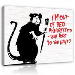 Consalnet Vászonkép, What more do you want? , 60x40 cm méretben (C5-2033O4)