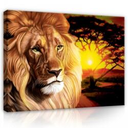 Consalnet Vászonkép, Oroszlán, 60x40 cm méretben (C5-272O4)