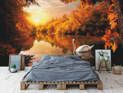 Sverus Fotótapéta White Swan On Autumn Pond, 400 x 260 cm (SV-109698560WM-400X260CM)