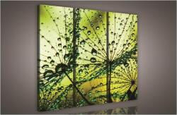 Consalnet Pitypang, 3 darabos vászonkép, 90x80 cm méretben (C5-418S6)