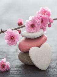 Consalnet Babarózsa és zen kövek poszter, fotótapéta, Vlies (184x254 cm, álló) (C1-11620V4A)