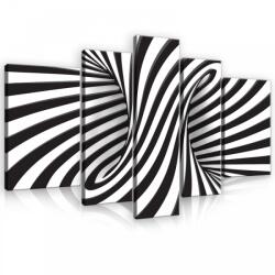 Consalnet Vászonkép, 5 darabos, Fekete-fehér 3D 170x100 cm méretben (C5-10204S4A)