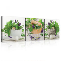 Consalnet Vászonkép 3 darabos, Gyógynövények, 3 db 25x25 cm méret (C5-11242S13)